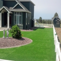 Artificial Grass Canyon Lake California Landscape Back