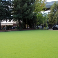 Artificial Grass Idyllwild-Pine Cove California Landscape
