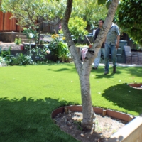 Artificial Grass La Habra California Landscape