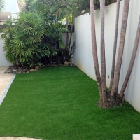 Artificial Grass Lakeview California Landscape Back Yard