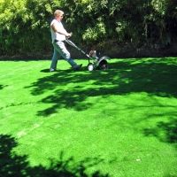 Artificial Grass Palm Desert California Lawn Front Yard
