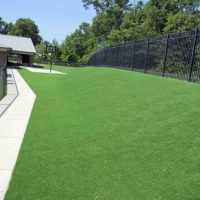 Artificial Grass Pine Valley California Landscape Back