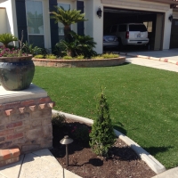 Artificial Grass Salton Sea Beach California Landscape