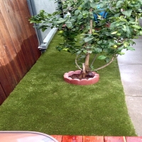 Artificial Pet Grass Desert Hot Springs California Installation