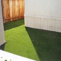 Artificial Pet Grass Fullerton California Installation Back