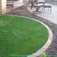 Artificial Pet Turf La Mesa California for Dogs