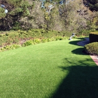 Artificial Turf Boulevard California Landscape Commercial