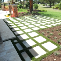 Artificial Turf Coto De Caza California Lawn Back Yard