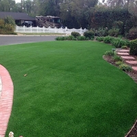 Artificial Turf Dana Point California Lawn Front Yard