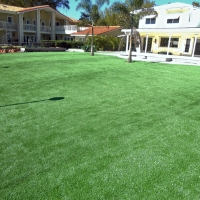 Artificial Turf Dana Point California Lawn Swimming Pools