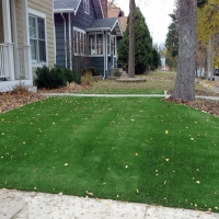 Artificial Turf Rainbow California Lawn Back Yard