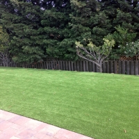 Artificial Turf Salton Sea Beach California Landscape Pavers