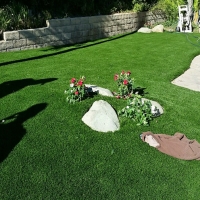 Artificial Turf San Jacinto California Lawn