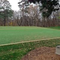 Artificial Turf Stadium Garden Grove California Swimming