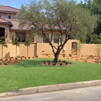 Artificial Turf Vista California Lawn Front Yard