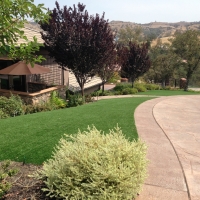 Fake Grass Camp Pendleton South California Lawn Front Yard