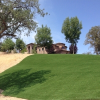 Fake Grass Chula Vista California Landscape Front Yard