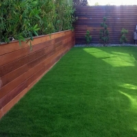 Fake Grass Dana Point California Landscape Commercial Landscape