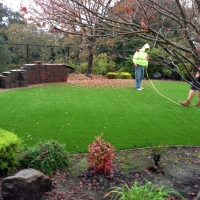 Fake Grass Home Gardens California Landscape