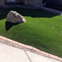 Fake Grass Huntington Beach California Landscape Back Yard