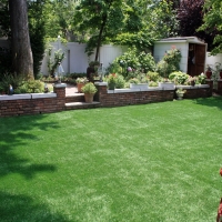 Fake Grass Laguna Niguel California Landscape Back Yard