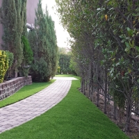 Fake Grass Lakeland Village California Landscape Back Yard