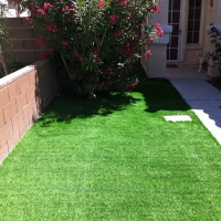 Fake Grass Lakeland Village California Landscape Front