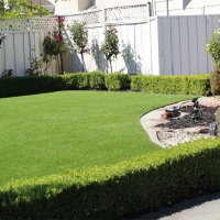 Fake Grass Oasis California Lawn Back Yard
