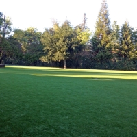 Fake Grass Valley Center California Lawn Front Yard