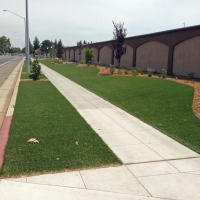 Fake Turf Bonsall California Lawn Back Yard