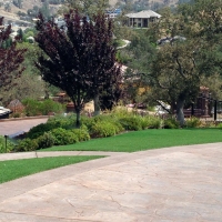 Fake Turf El Cerrito California Landscape Back Yard
