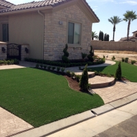 Fake Turf Escondido California Landscape