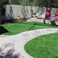 Fake Turf Fallbrook California Landscape Back Yard