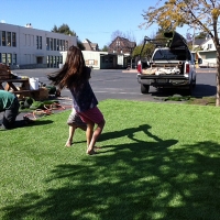 Fake Turf Murrieta Hot Springs California Lawn Dogs Park