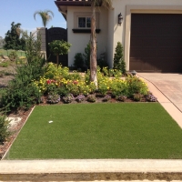 Fake Turf Ocotillo California Landscape Back Yard