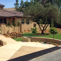 Fake Turf Ocotillo California Lawn Front Yard