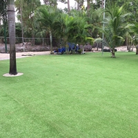 Grass Carpet Encinitas, California Rooftop, Commercial Landscape