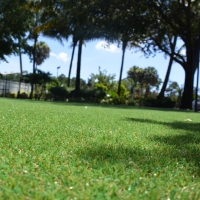 Grass Carpet Rancho San Diego, California Rooftop, Parks