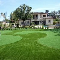 Putting Greens Garnet California Synthetic Grass Back Yard