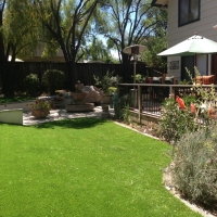 Synthetic Grass Bonsall California Landscape Back Yard