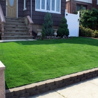 Synthetic Grass Borrego Springs California Lawn Back Yard