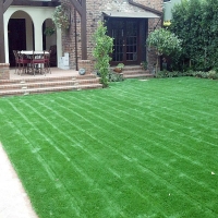 Synthetic Grass Fallbrook California Landscape Back Yard