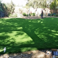 Synthetic Grass Idyllwild California Landscape Pavers Back