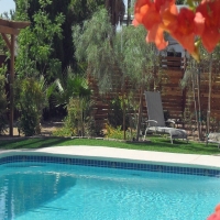 Synthetic Grass Jacumba California Landscape Back Yard