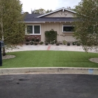 Synthetic Grass Jacumba, California Landscape Design, Small Front Yard Landscaping