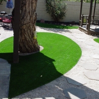 Synthetic Grass Jacumba California Lawn Swimming Pools Back