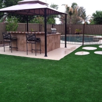Synthetic Grass Lakeside California Landscape Back Yard
