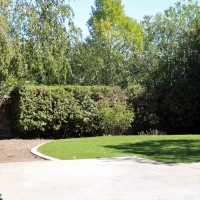 Synthetic Grass Newport Beach California Landscape Front