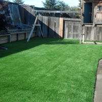 Synthetic Grass Perris California Landscape