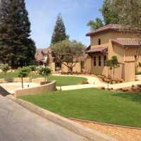 Synthetic Grass Pine Valley California Landscape Back Yard